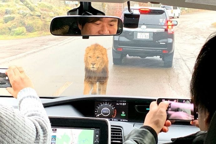 Comprar entradas Fuji Safari Park