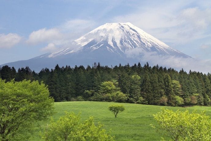 Excursión por Aokigahara.