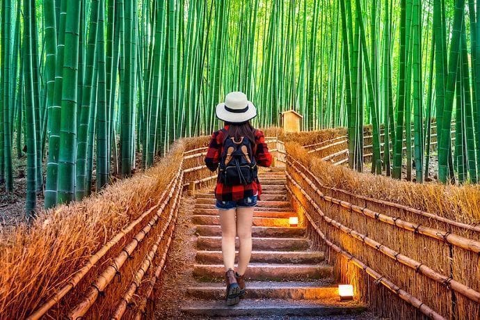 Excursión a Arashiyama desde Kioto