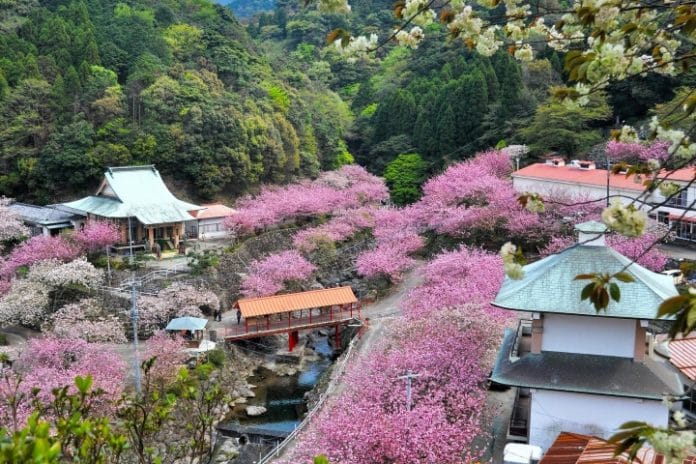 Oficina turismo Oita